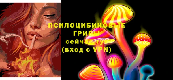 первитин Белоозёрский