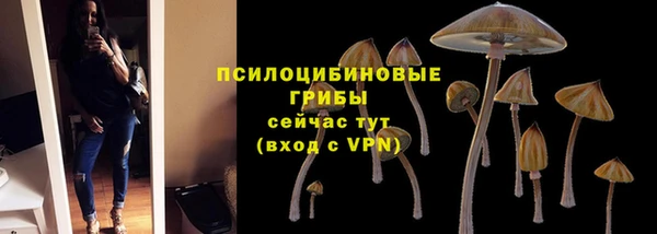 тгк Белокуриха