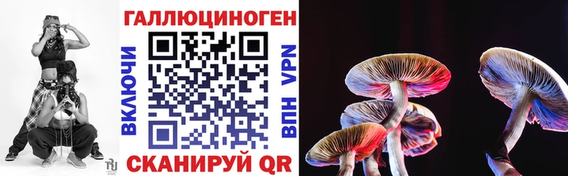 Купить  Губкин  Псилоцибиновые грибы GOLDEN TEACHER 